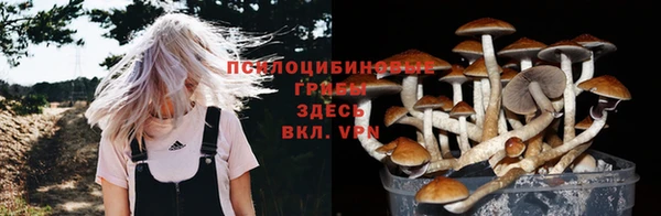 герыч Ельня